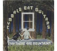Cymbals Eat Guitars - Why There Are Mountains [Vinilo]