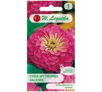 Cynia elegante Illumination - rosa