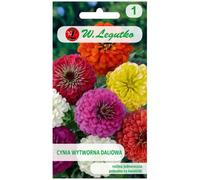 Cynia elegante, mezcla de dalias