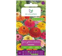 Cynia elegante, mezcla escabiosa