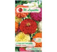 Cynia elegante Super Yoga mezcla de flores grandes