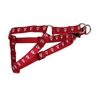 CYP BRANDS - Albacete Balompié - Arnés para Perro - Talla M