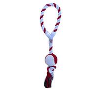 CYPBRANDS JU-01-AC Juguete con Pelota para Perro Athletic Club, Blanco, único