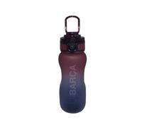 CYPBRANDS Botella de Agua FC Barcelona Oficial 650 ml, Botella Reutilizable con Tapa de Apertura Automática, Cierre de Seguridad y Asa de Transporte, Blaugrana