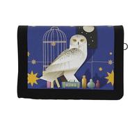 CYPBRANDS Harry Potter- Set de regalo, Llavero y Cartera, Pack regalo, Multicolor, Producto Oficial