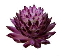CYRENT Surtido de cactus artificial texturizado, pequeñas plantas suculentas de simulación realista para decoración creativa del hogar y boda (morado)