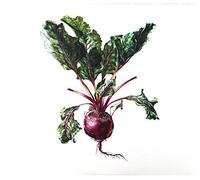 CzesĹaw Ĺpiewa: CzesĹaw Ĺpiewa & Arte dei Suonatori [CD]