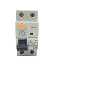 CZK6 RCCB 2-2P 16A 25A 63A 80A 100A Disyuntor Diferencial For Sistemas Solares Fotovoltaicos A/B/AC 30MA 300MA 100MA(2P40A30MA)