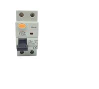 CZK6 RCCB 2-2P 16A 25A 63A 80A 100A disyuntor diferencial for sistemas solares fotovoltaicos A/B/AC 30MA 300MA 100MA(2P40A100MA)