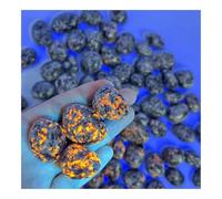 CZMDKEXM 50-60g (2-3pc) 2-4cm Bright Glowing Crystal Stone Firestone Fluorescent Flame Stone Home Decoration Gift