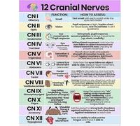 CZMDKEXM Anatomy and Cranial Nerves Chart Metal Sign Color Coded Neurology Guide Educational Poster for Students Home Office 8 X 12 in