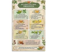 CZMDKEXM Digestive Herbal Tea Guide Poster Gut Health Digestion Support Canvas Art for Bedroom Living Room Decor(Unframed,08x12inch(20x30cm))