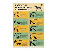 CZMDKEXM Dog Training Commands Chart Metal Tin Sign Basic Obedience Guide Visual Aid For Pet Owners And Trainers Educational Decor 8 X 12 in