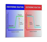 CZMDKEXM Endothermic Exothermic Reactions Change Educational Chart Metal Tin Sign for Chemistry Class Science Teachers Study Room 8 X 12 in