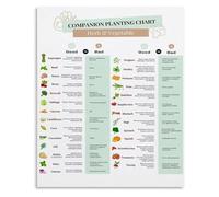 CZMDKEXM Homegrown Vegetables Guide Gardening Poster Seed Starting Times and Companion Planting Chart Educational Kitchen Wall-Art 8 X 12 in