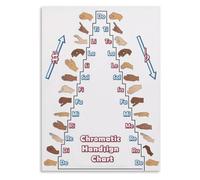 CZMDKEXM Music Theory and Sight Singing Chart Solfege Educational Poster Reference for Classroom Choir Room Private Lesson Studio 8 X 12 in
