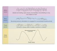 CZMDKEXM Neuroscience Poster Brain Wave Types Educational Wall Print | Engaging design sparks curiosity about how the brain processes information(Framed,12x18inch(30x45cm))