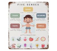 CZMDKEXM The Five Senses Chart Vintage Tin Metal Sign Human Retro Wall-Art for Room Preschool Classroom Decor 8 X 12 Inch