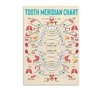 CZMDKEXM Traditional Chinese Medicine Metal Chart Tooth Organ Meridian Connection Educational Sign for Classroom Clinic (8 X 12 in)