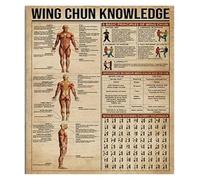 CZMDKEXM Vintage Martial Arts Sign Retro Rustic Metal Tin Wing Chun Training Chart for Dojo Wall 8 X 12 in