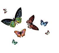 d-c-fix mantel individual salvamanteles Papilio 29 cm x 44 cm
