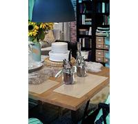 d-c-fix manteles individuales Rio Ben blanco transparente - lavables antimanchas plastico PVC - tapetes para mesa salvamanteles bajoplatos mantelitos - 29 cm x 44 cm rectangular