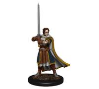 D&D: Iconos de los Reinos: Figura Premium: Humano Fighter Male