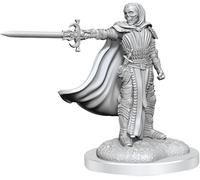 D&D NOLZURS MARVELOUS MINIATURAS NO PINTADAS (W20) CABALLEROS DE LA MUERTE