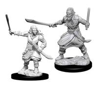 D&D Nolzur's Marvelous Miniatures - Bandits