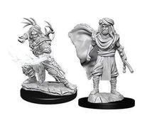 D&D Nolzur's Marvelous Miniatures: Male Human Druid