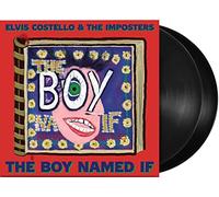 ΤΗΕ ΒΟΥ ΝΑΜΕD ΙF, 2LΡ VΙΝΥL