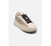 D Franklin Court 321 36 Oro y bronce