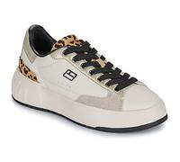 D.Franklin Zapatillas 321 COURT in Beige 36