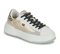 D.Franklin Zapatillas COURT 321 in Blanco 38