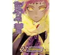 D.Gray-man, Vol. 27: Volume 27 (D GRAY MAN GN)