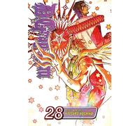D.Gray-man, Vol. 28: Volume 28 (D GRAY MAN GN)