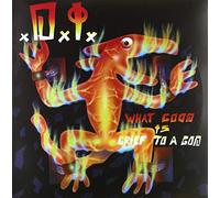 D.I. - What Good Is Grief To A God? [Vinilo]