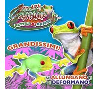 D-KIDZ- Nature Rettili e Anfibi Crazy Rettili & Anfibi (Assortimento), Multicolor (Dynit SRL DIM02124P)