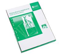 D.RECT, Fundas Multitaladro, 55 Micras, Tamaño A4, Folio-Cristal, Pack de 100 Unidades, Perforadas Transparentes, Bolsillos de Polipropileno, Embalajes de Cartón, 009031