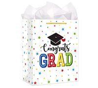 D24TIME Bolsa de regalo de graduación 2024 con asa de 11.5 pulgadas, bolsas de graduación de clase grande de 2024 con papel de seda para graduados de secundaria, universidad, 8º grado, felicitaciones,