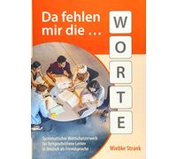 Da fehlen mir die Worte: Systematischer Wortschatzerwerb für fortgeschrittene Lerner in Deutsch als Fremdsprache