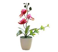 DABAIXIONG Orquídeas artificiales realistas con pétalos impresos, arreglo floral para decoración del hogar, oficina, escritorio, orquídeas de bonsáis sintéticas, decoración del hogar y la oficina