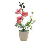DABAIXIONG Orquídeas artificiales realistas con pétalos impresos, arreglo floral para decoración del hogar, oficina, escritorio, orquídeas de bonsáis sintéticas, decoración del hogar y la oficina