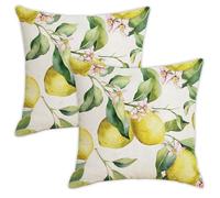 DabbOo 2 de Fundas Cojines Exterior Fundas Cojines Exterior Impermeable Fundas Limón Decorativo Cojines Fundas de Sofá Jardin Adecuadas para Decoración de Salón Banco Terraza (45 X 45 Cm)