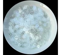 DaBingDian Lentejuelas Sueltas Redondas Planas de 3 mm, 4 mm, 5 mm y 6 mm, Color Blanco, para Costura, Manualidades de Boda, Ropa de Mujer, Accesorios de Bricolaje.