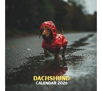 Dachshund Calendar 2026: Dog Views • 12 Month Visual Layout • U.S. Holiday Highlights Included • Soft Glossy Cover 8.5x8.5