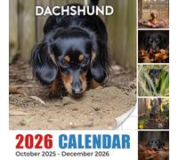 Dachshund Calendar 2026: Long-bodied charm lighting up twelve unique chapters