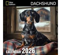 Dachshund Calendar 2026: Long-bodied charm lighting up twelve unique chapters