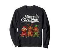 Dachshund Christmas Lights Reindeer Antlers Santa Hat Squad Sudadera