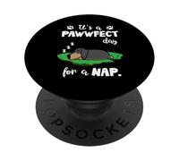 Dachshund Dog Sleep It's A Pawwfect Day For A Nap Puppy PopSockets PopGrip Adhesivo